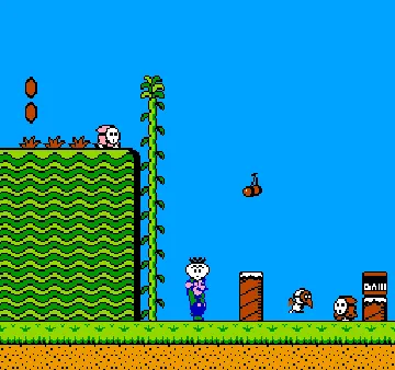 Super Mario Bros. 2 (USA) (Beta) screen shot game playing